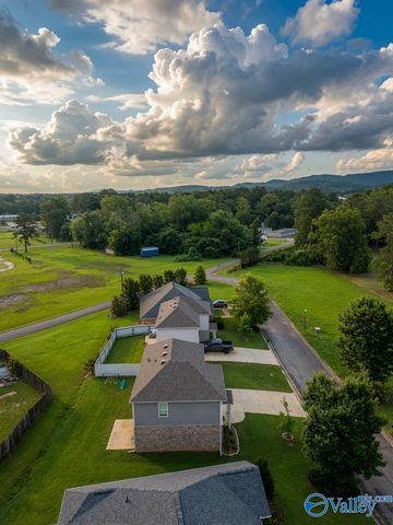 106 Briarwood Lane, Glencoe, AL 35905