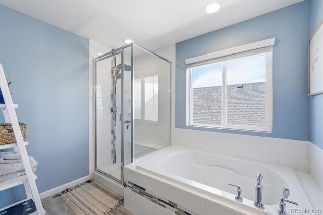17325 Birds Foot Trail, Parker, CO 80134
