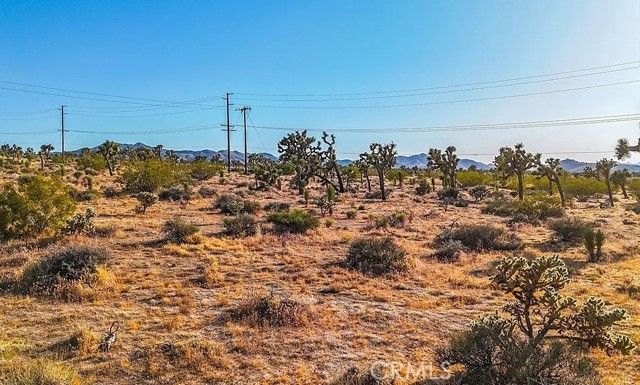 7645 La Contenta Road, Joshua Tree, CA 92252