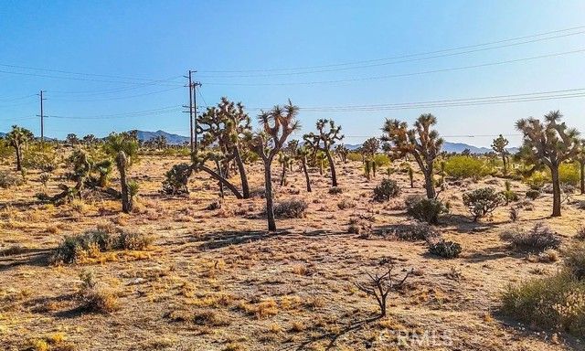 7645 La Contenta Road, Joshua Tree, CA 92252