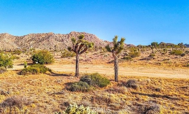 7645 La Contenta Road, Joshua Tree, CA 92252