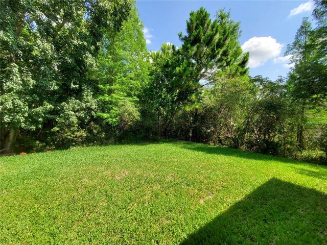 12825 CASTLEMAINE DRIVE, Tampa, FL 33626