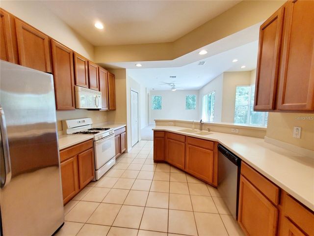 12825 CASTLEMAINE DRIVE, Tampa, FL 33626