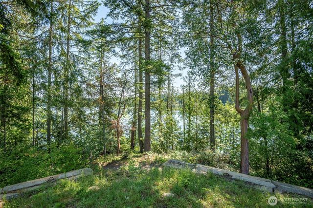 18547 Surcingle Court SE, Yelm, WA 98597