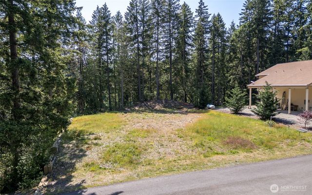 18547 Surcingle Court SE, Yelm, WA 98597