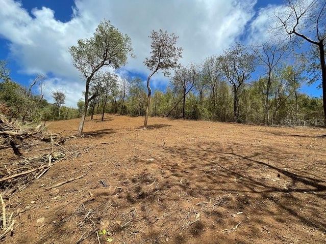 VILLA BORINQUEN, Vieques, PR 00765