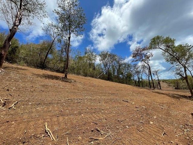 VILLA BORINQUEN, Vieques, PR 00765