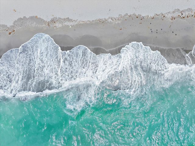 615 MAY APPLE WAY, Venice, FL 34293