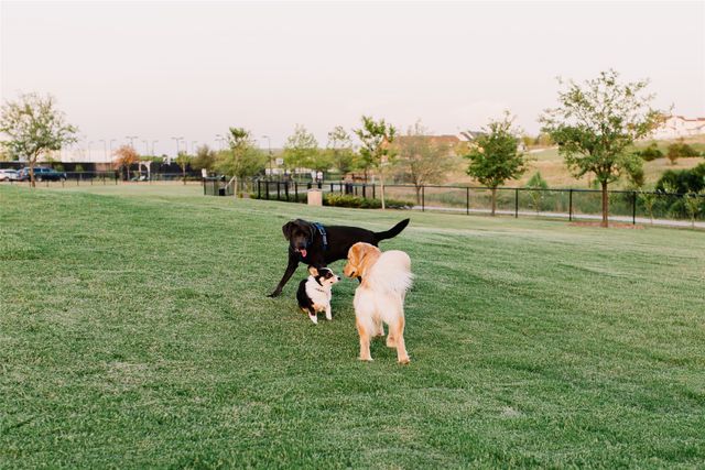 2121 Tolleson Drive, Fort Worth, TX 76008