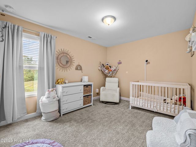 25 Petrel Trc Trace, Hampstead, NC 28443