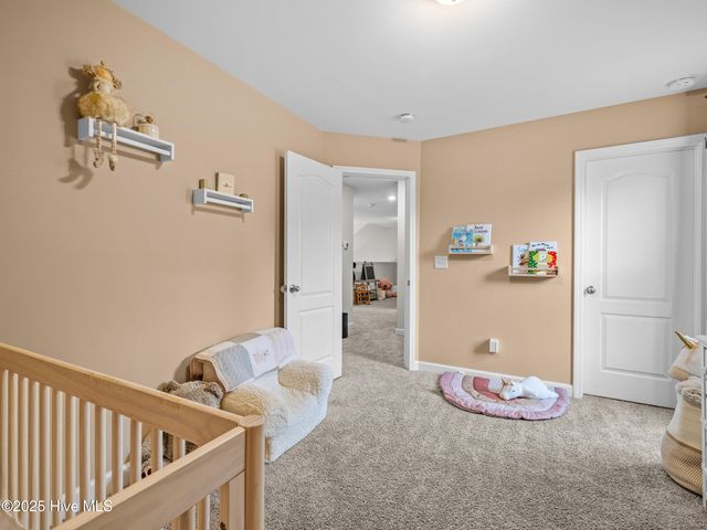25 Petrel Trc Trace, Hampstead, NC 28443