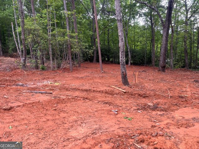 253 Fox Valley Road, Clarkesville, GA 30523