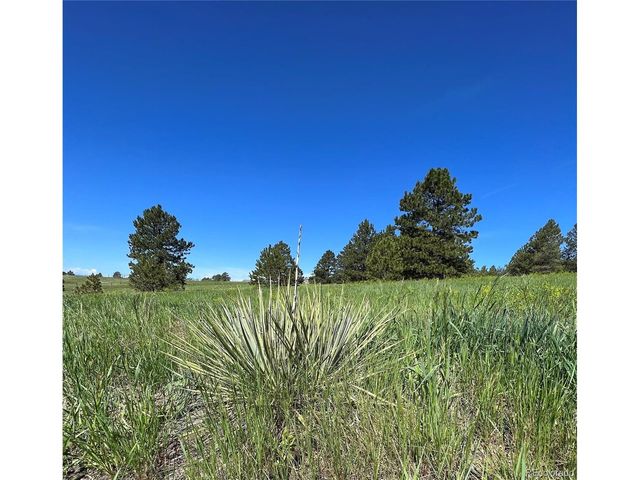 10290 Democrat Rd, Parker, CO 80134
