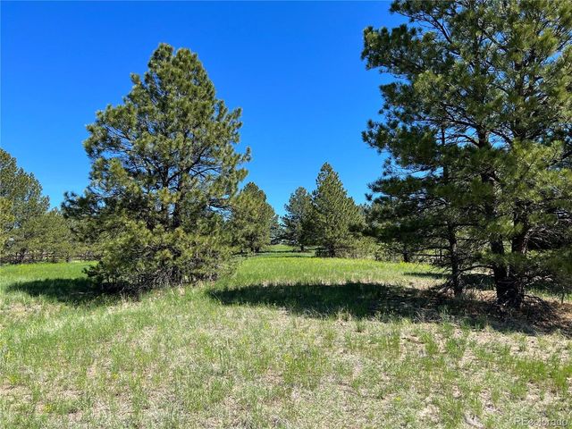 10290 Democrat Rd, Parker, CO 80134