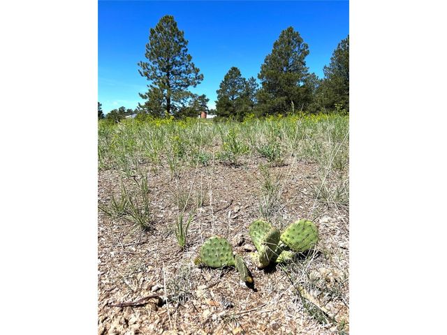 10290 Democrat Rd, Parker, CO 80134