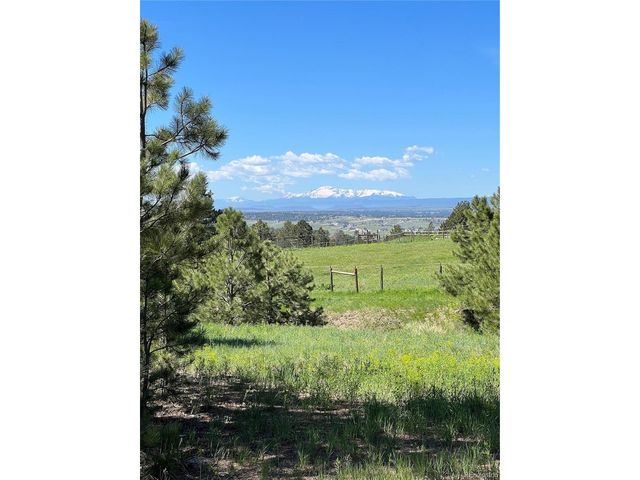 10290 Democrat Rd, Parker, CO 80134