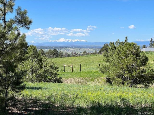 10290 Democrat Rd, Parker, CO 80134