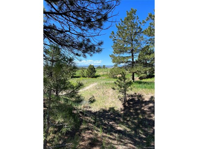 10290 Democrat Rd, Parker, CO 80134