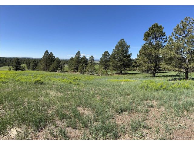 10290 Democrat Rd, Parker, CO 80134