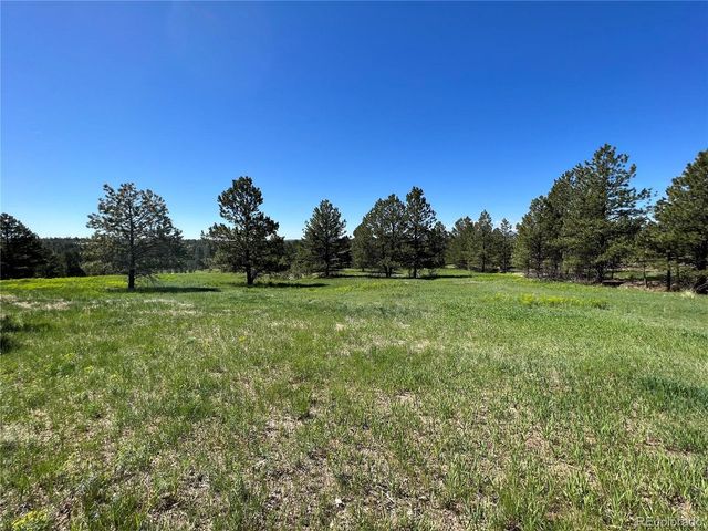10290 Democrat Rd, Parker, CO 80134
