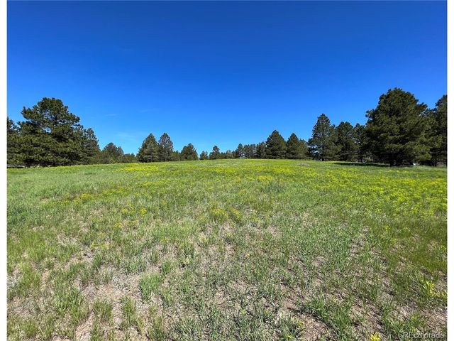 10290 Democrat Rd, Parker, CO 80134