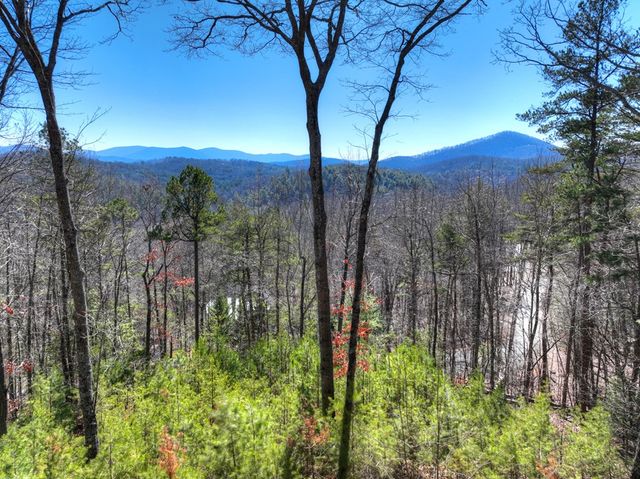 78 Brass Hill Road, Blue Ridge, GA 30513