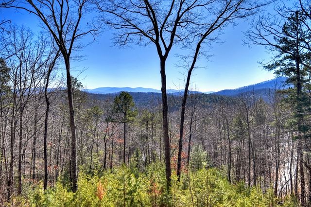 78 Brass Hill Road, Blue Ridge, GA 30513