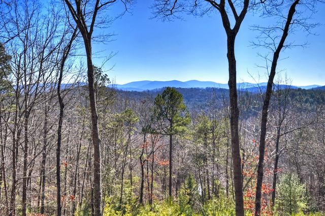 78 Brass Hill Road, Blue Ridge, GA 30513