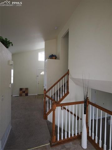 7338 Theresa Drive, Colorado Springs, CO 80925