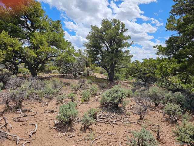 3953 Kruest Road, Fort Garland, CO 81133