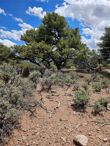 3953 Kruest Road, Fort Garland, CO 81133