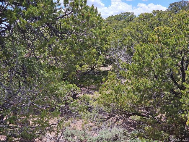 3953 Kruest Road, Fort Garland, CO 81133