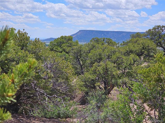 3953 Kruest Road, Fort Garland, CO 81133