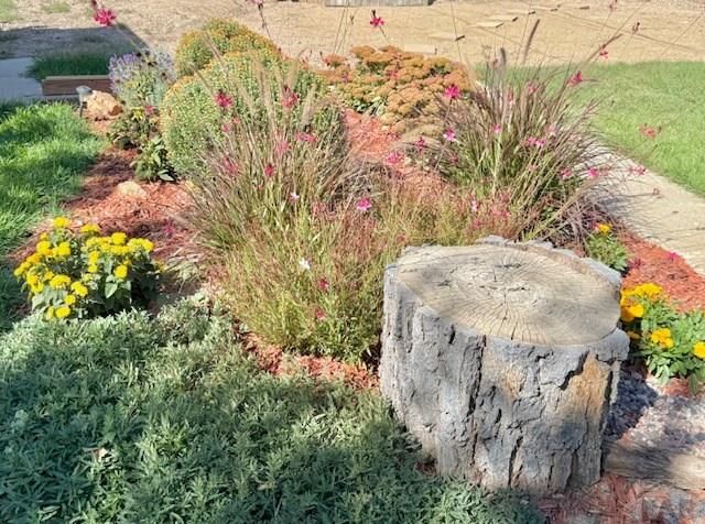 2211 N Elizabeth St, Pueblo, CO 81003