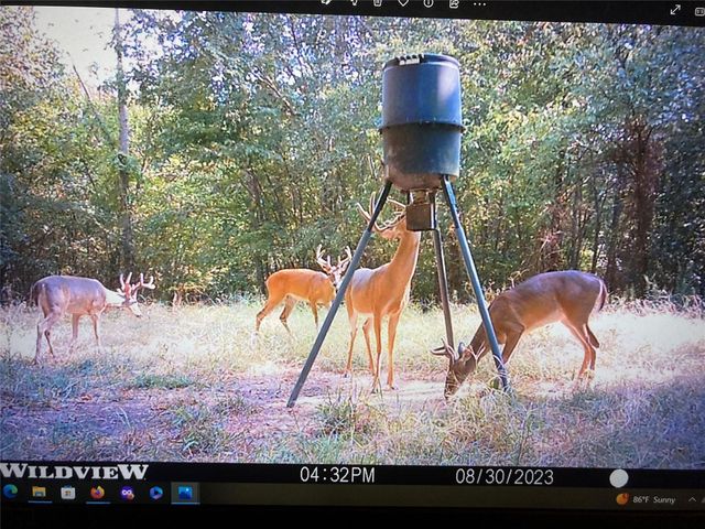 250 County Road 45700, Detroit, TX 75436