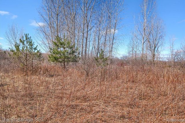 1746 N Baldwin Road, Oxford, MI 48371