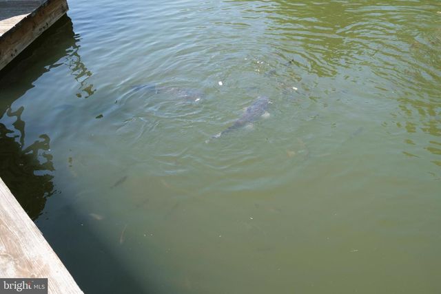 1595 INDIAN SPRINGS RD, Frenchville, PA 16836