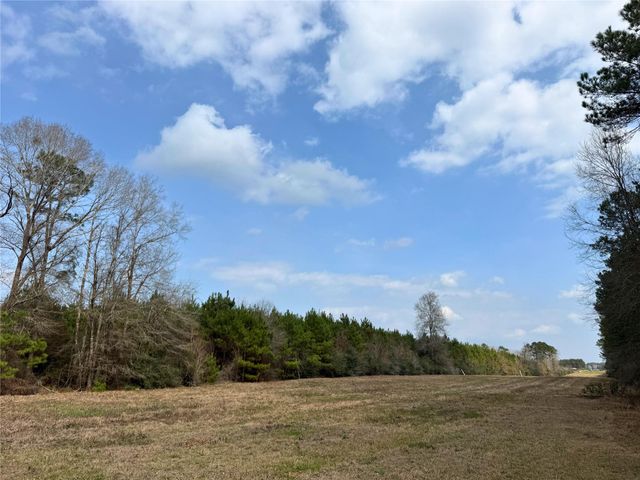 3 Menard Chapel Road, Livingston, TX 77351