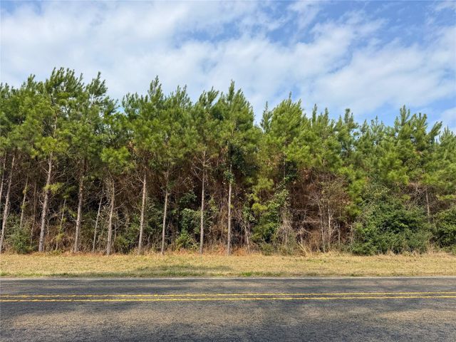 3 Menard Chapel Road, Livingston, TX 77351