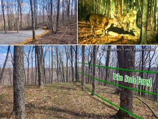 0 Pike Lake Rd Road, (Tract 4 Pike Lake Getaway), Bainbridge, OH 45612