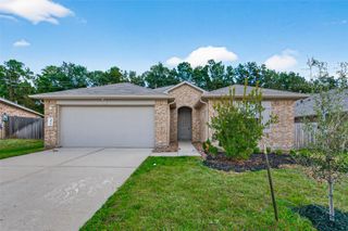 40320 Hilltop Prairie Drive, Magnolia, TX 77354