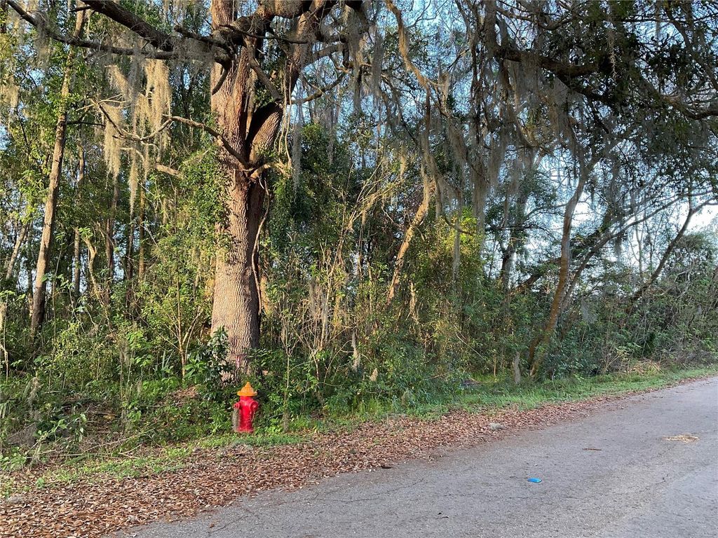 TBD NW 45TH STREET, Ocala, FL 34482