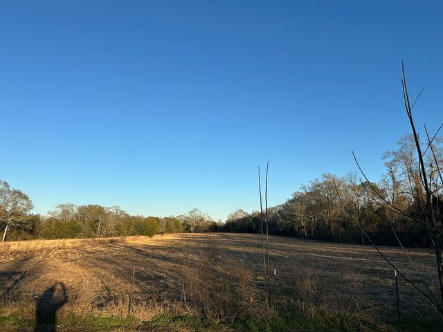 12267 South County Road 49, Slocomb, AL 36375