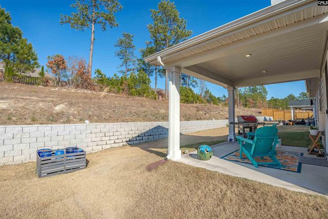 320 Switch Grass Court, Elgin, SC 29045