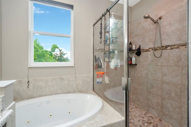 32630 COLDWATER CREEK LOOP, Wesley Chapel, FL 33545