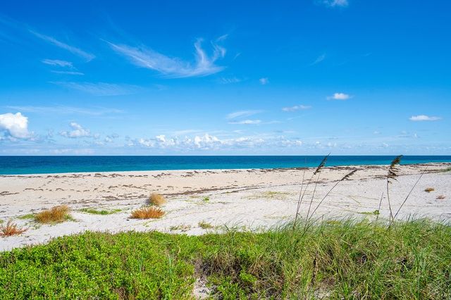 1036 Orchid Oak Drive, Vero Beach, FL 32963