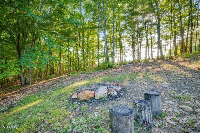 200 Preacher Laws Road, Afton, TN 37616