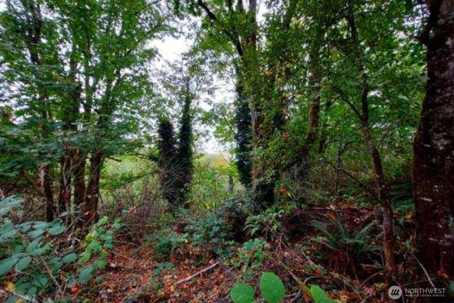 0 Lot C Melcher St, Port Orchard, WA 98366