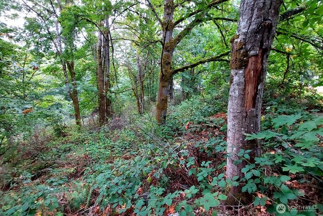 0 Lot C Melcher St, Port Orchard, WA 98366