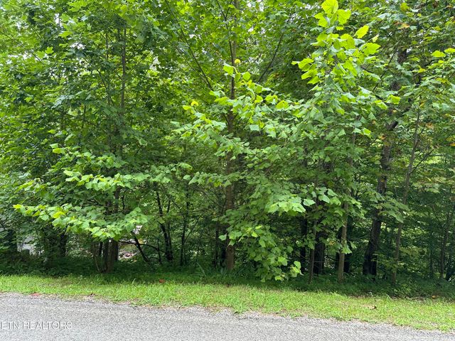 lot 22 Ridge Rd, Caryville, TN 37714